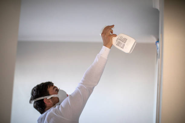 Best Mold Remediation for Specific Building Types in Lake Holiday, VA