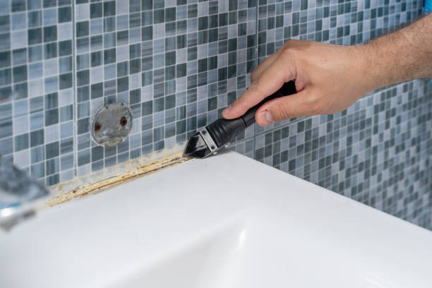 Best Health and Safety Mold Remediation in Lake Holiday, VA
