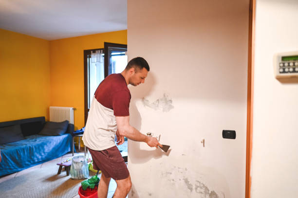 Best Kitchen Mold Remediation in Lake Holiday, VA